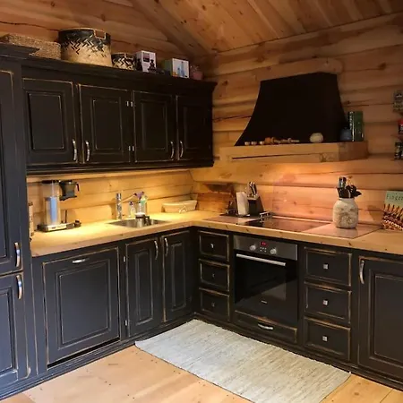 Vakantiehuis Great Log Cabin With Ski Inout And Fast Wifi